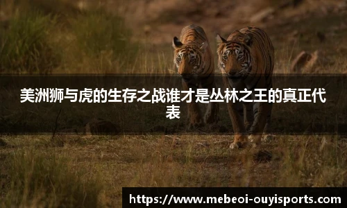 美洲狮与虎的生存之战谁才是丛林之王的真正代表