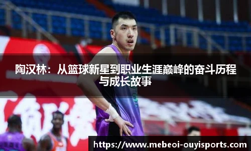 陶汉林：从篮球新星到职业生涯巅峰的奋斗历程与成长故事